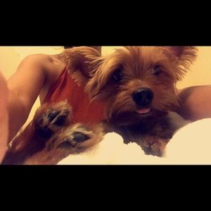 Meet your Posher, Amanda